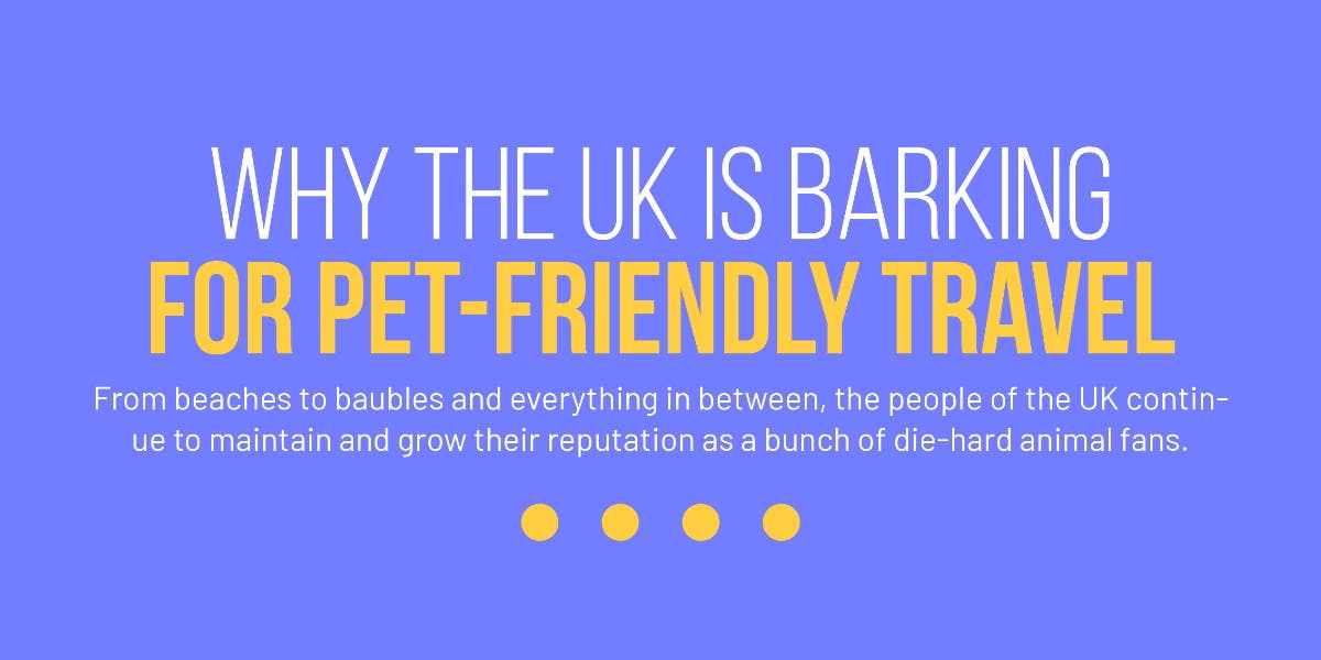 latest-uk-pet-tourism-statistics-hoo