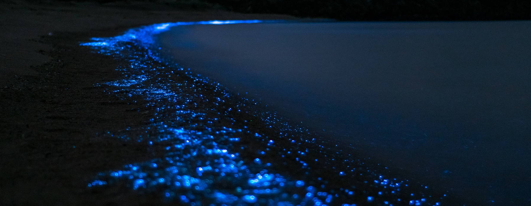 The Sea of Stars on Vaadhoo Island, Maldives