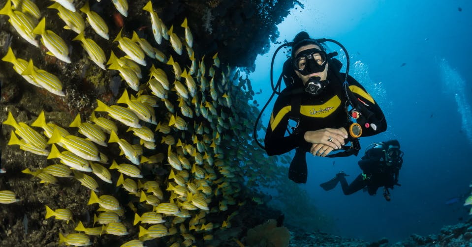 7 Amazing Facts About The Sea Of Stars In The Maldives