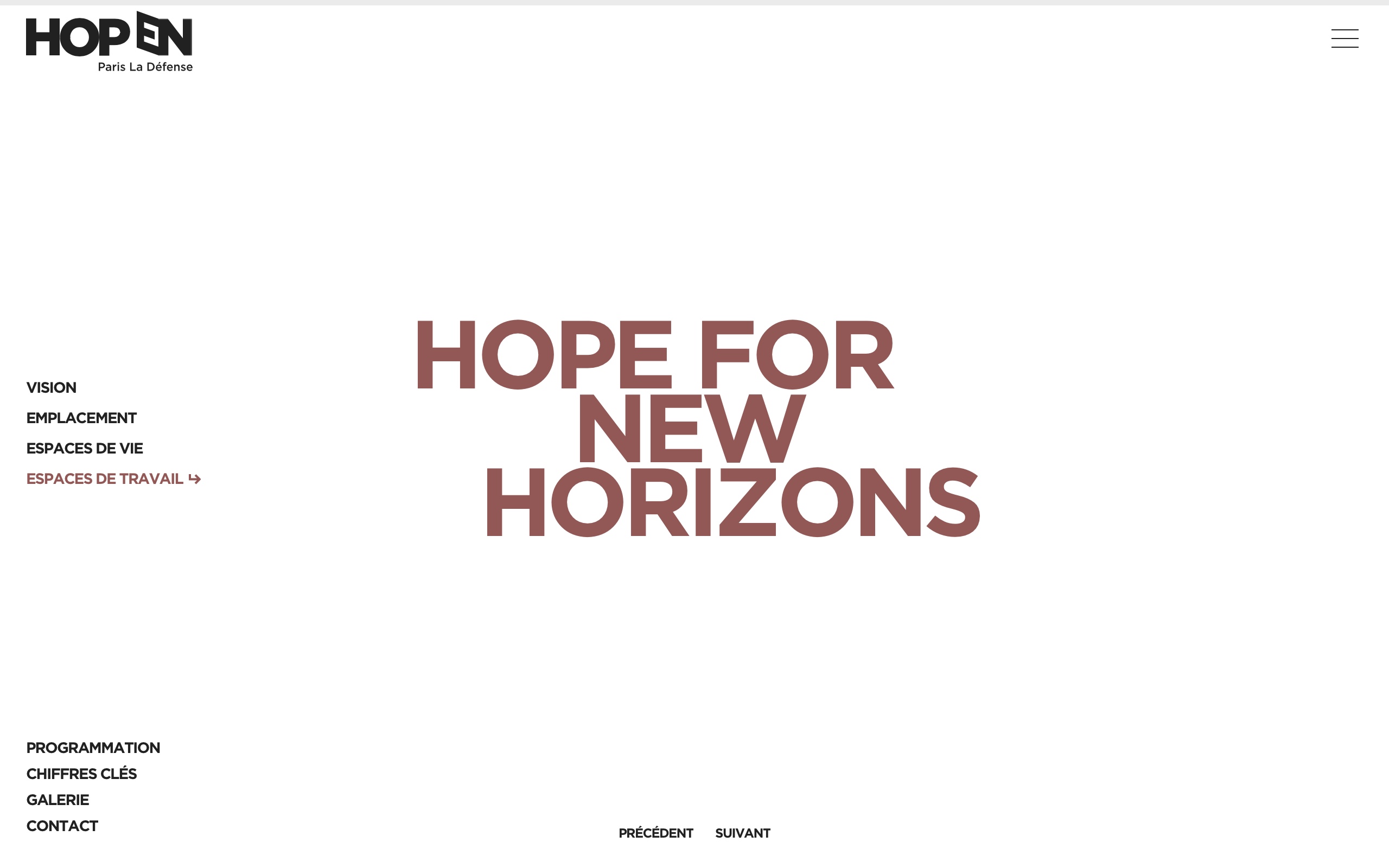 Screenshot of the first slide 'Hope for New Horizons' from the Workspace page on the HOPEN website