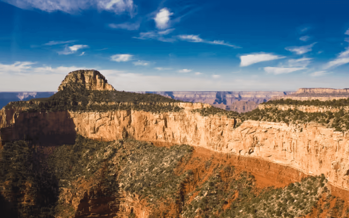 South Rim Kaibab National Forest from above