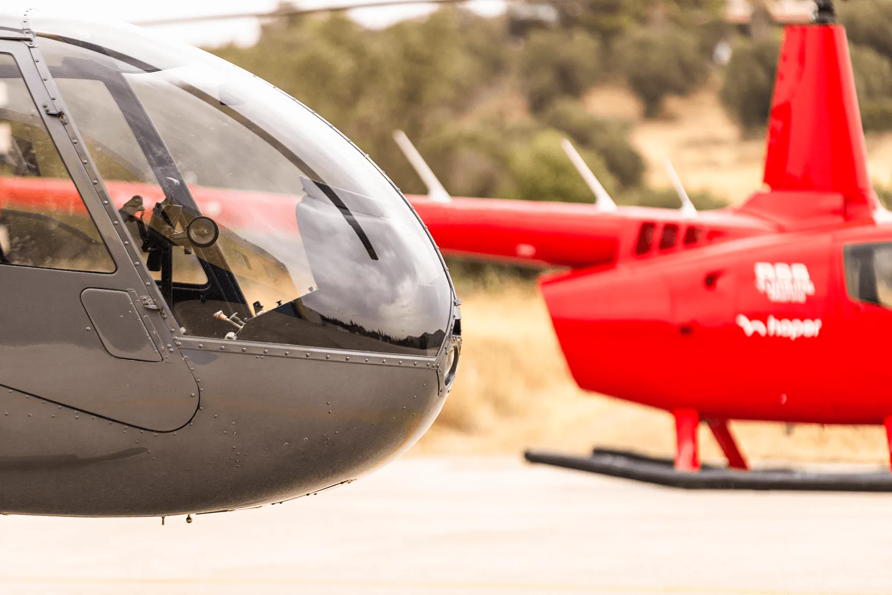 Robinson R44 and R66 on the ground