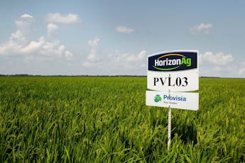 PVL03 is the third and highest-yielding variety released for the Provisia Rice System.