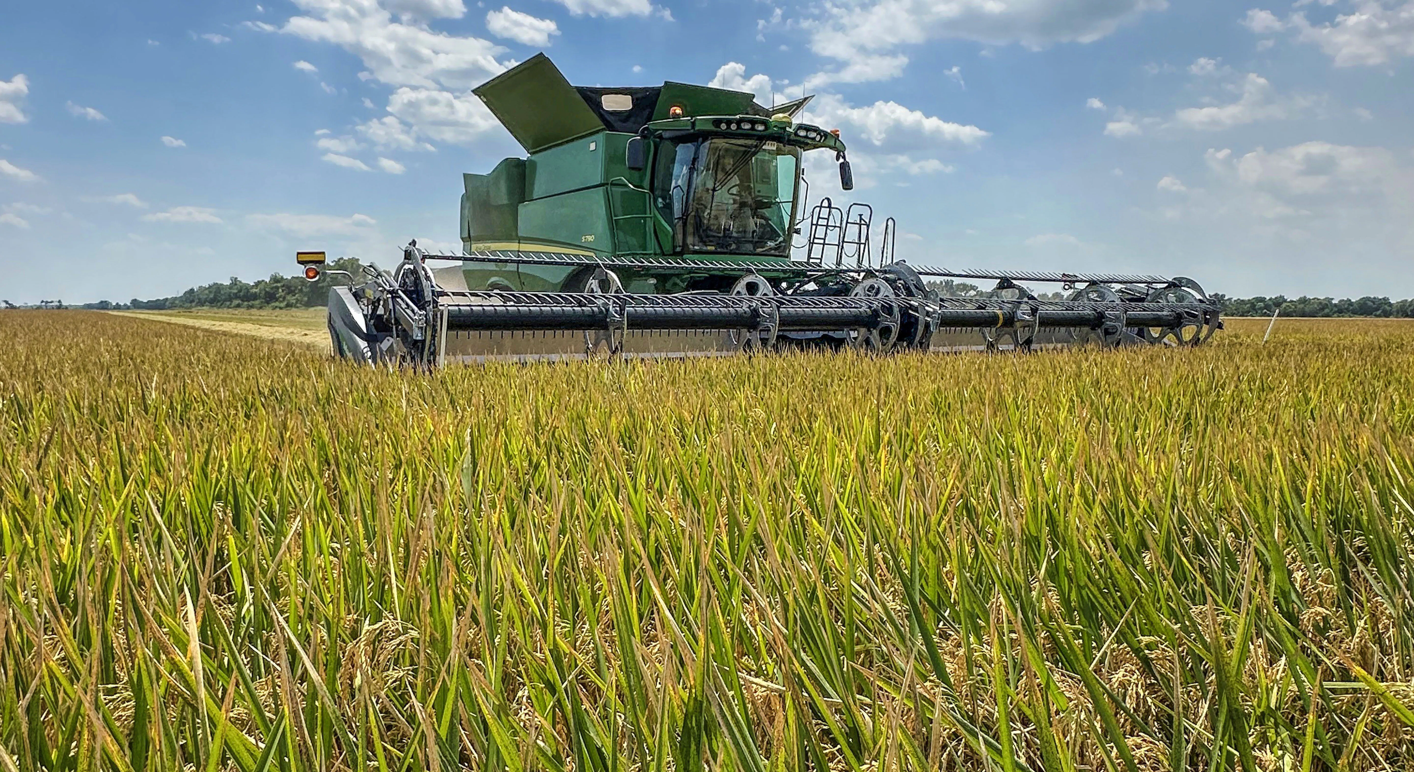 Harvesting in Mississippi
