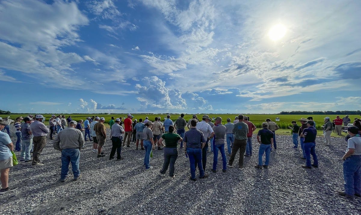 A large crowd gathers at Richard Farms