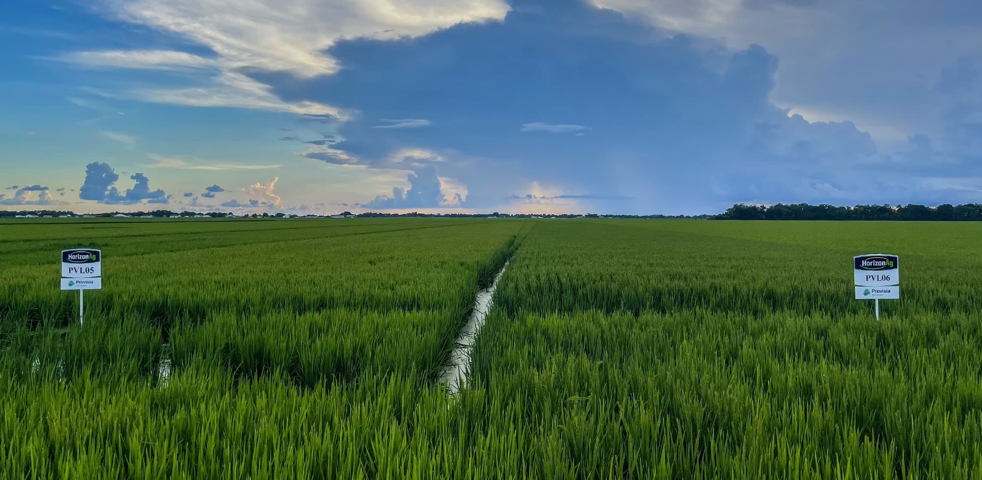 PVL05 and PVL06 in Crowley, LA