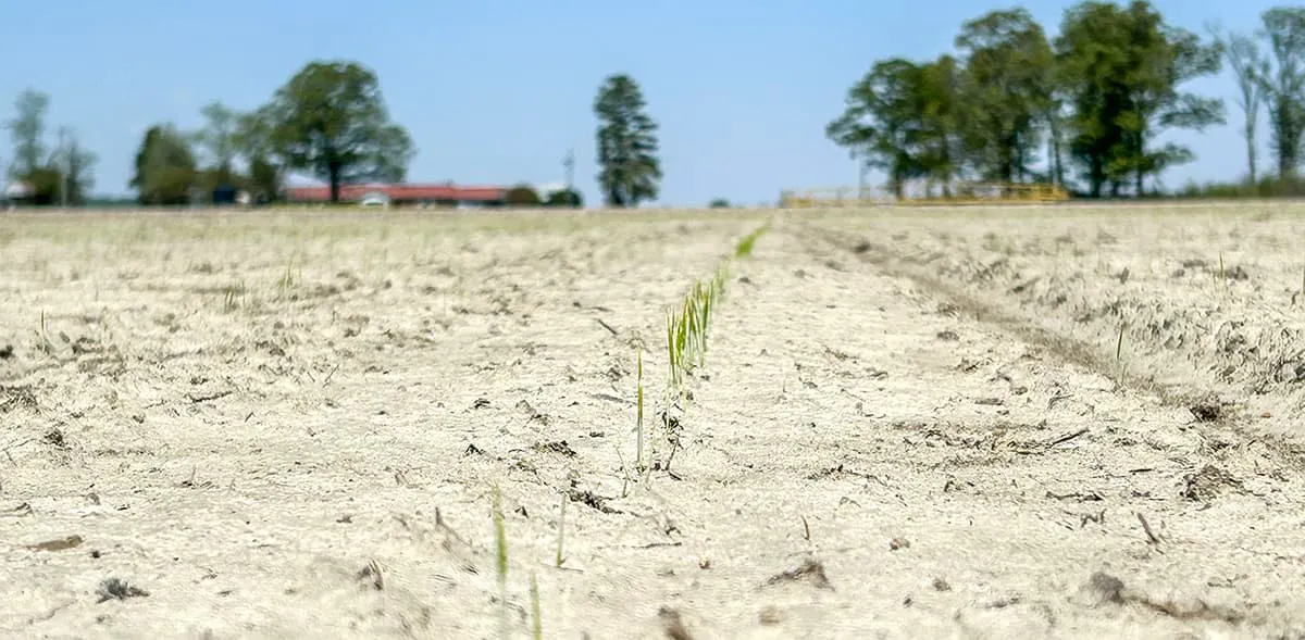 PVL06 in Woodruff County, Arkansas