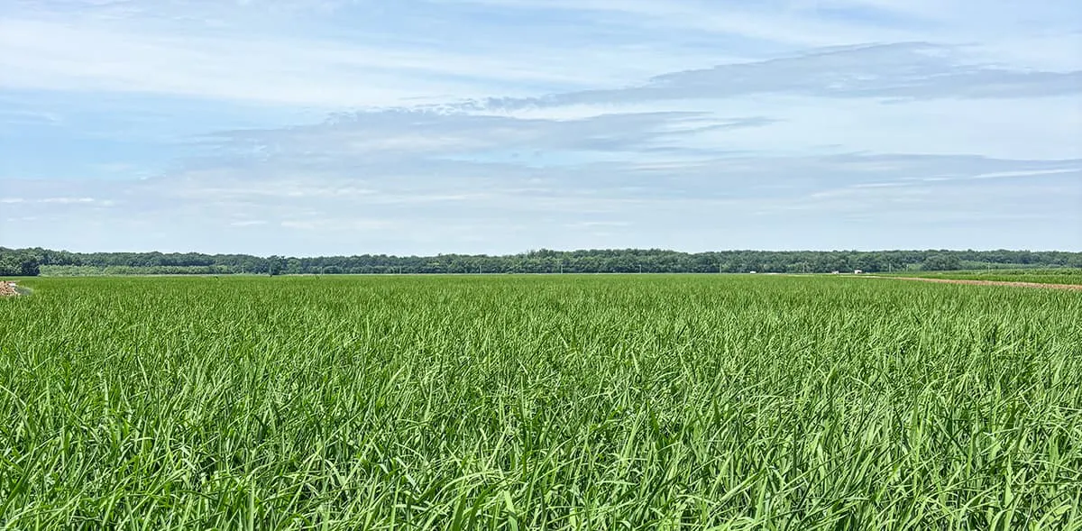 PVL04 located near Puxico, Missouri.