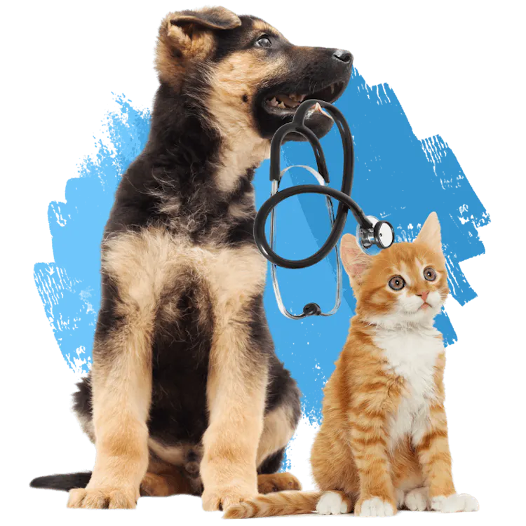 Horizon Veterinary Services Home horizon-veterinary-services-home