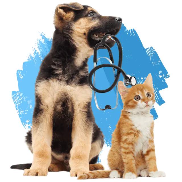 horizon-veterinary-services-home