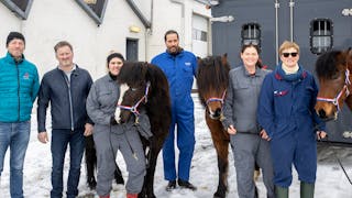 summer eczema vaccination Horses of Iceland, Icelandic horses