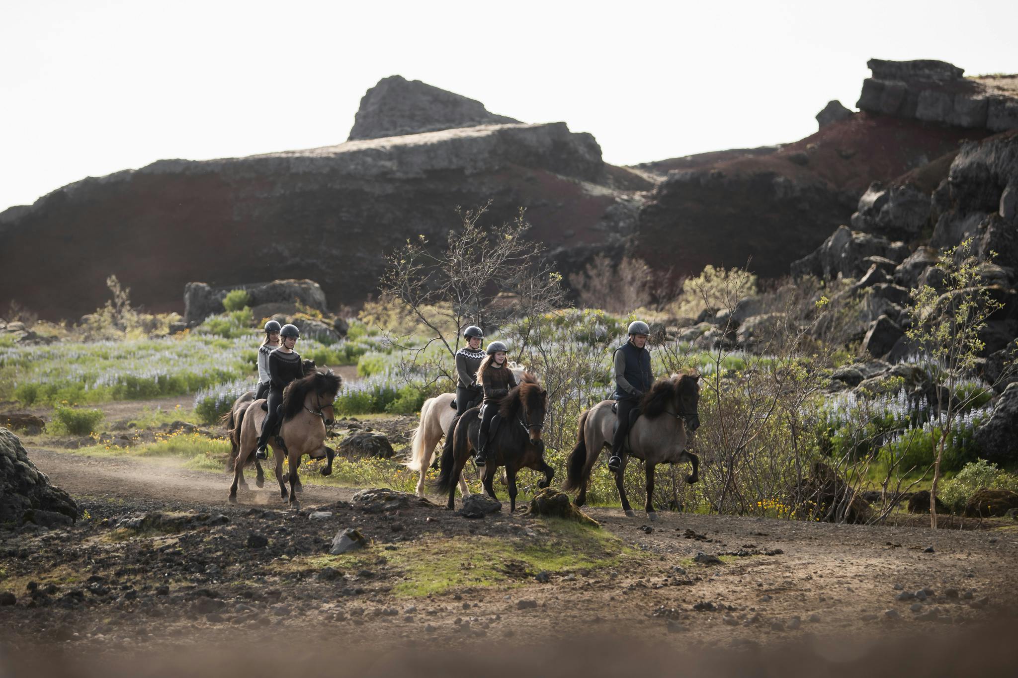 Icelandic horses and riders, tölting in Raudholar