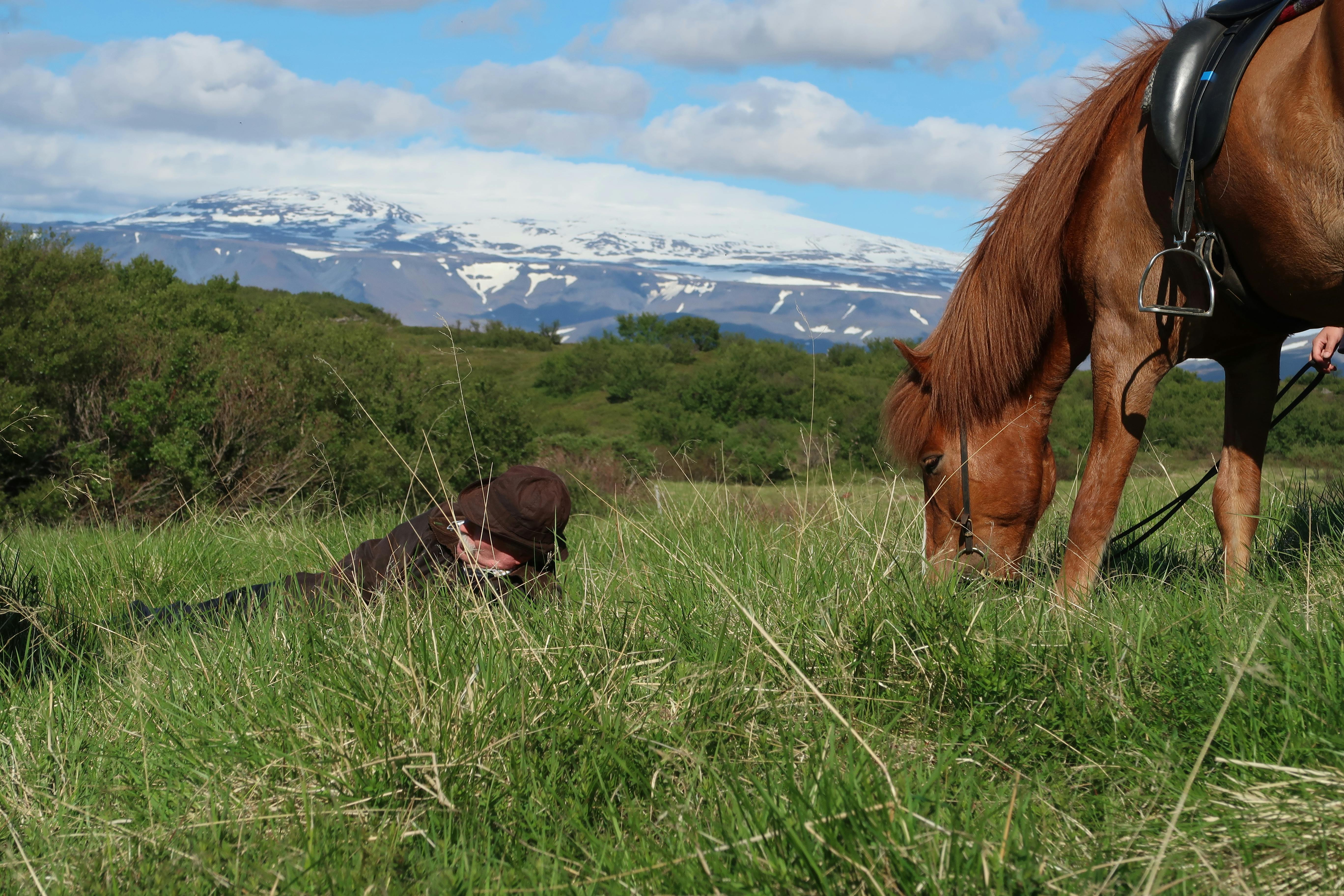 A rider rests in the grass while his horses eats with a glacier in the background.