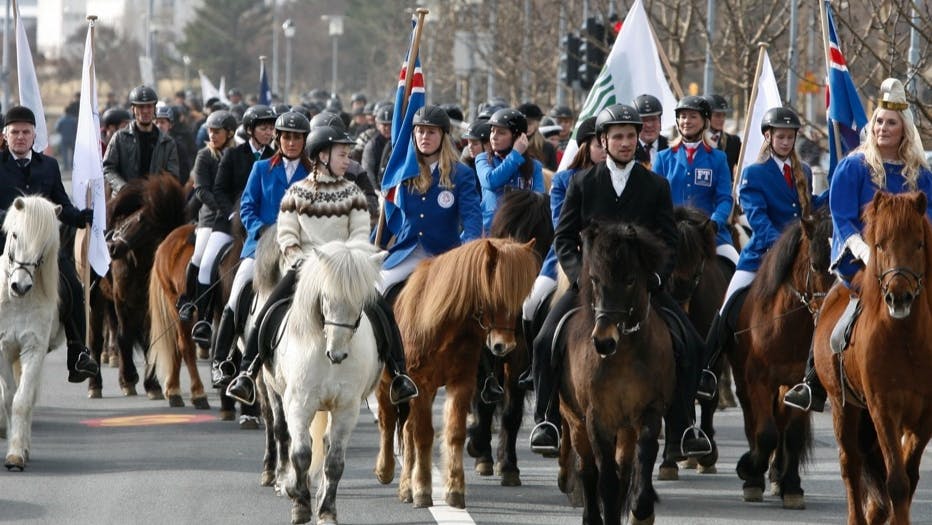 Icelandic horse festival 