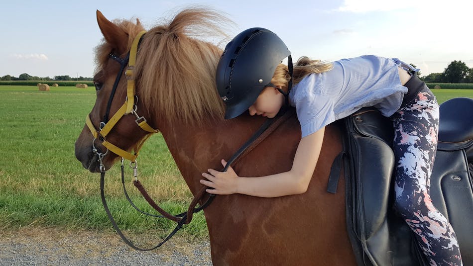 A child riding and hugging an Icelandic horse.