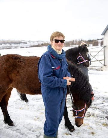 summer eczema vaccination Horses of Iceland, Icelandic horses