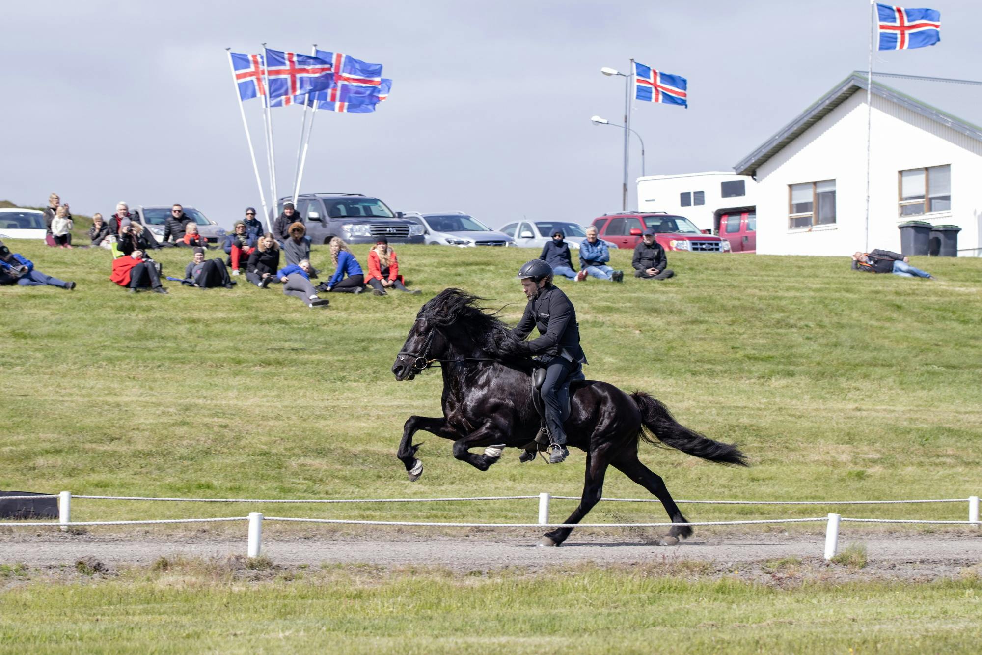 Hylur frá Flagbjarnarholti, a tall, black, Icelandic stallion and Guðmar Þór Pétursson in gallop at a breeding show.