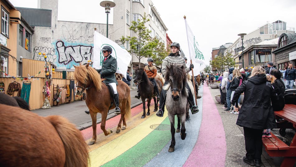 Icelandic horses and riders in Reykjavík