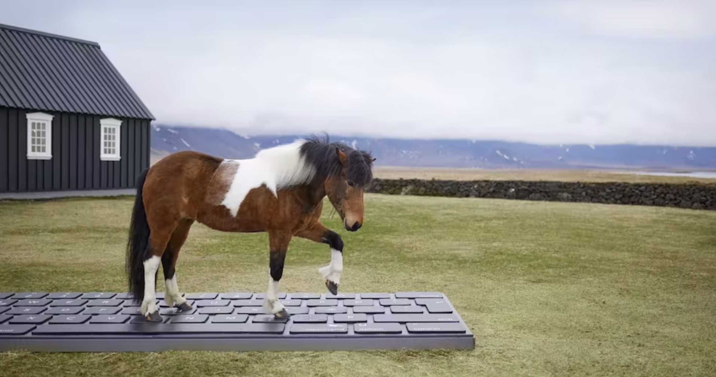 outhorse your email thumbnail