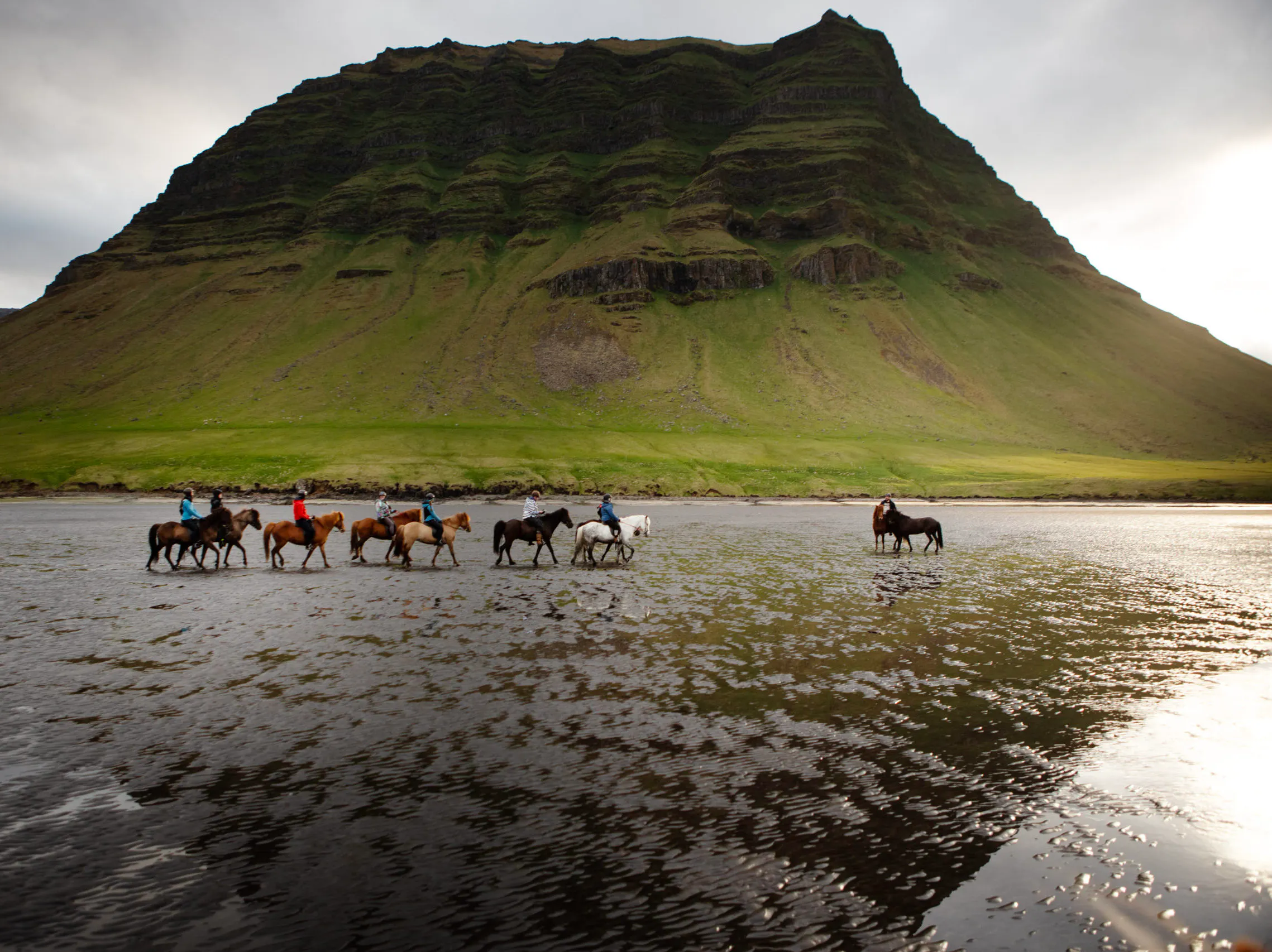 Horses of Iceland
