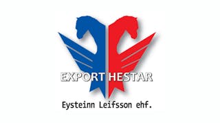 Export Hestar's logo