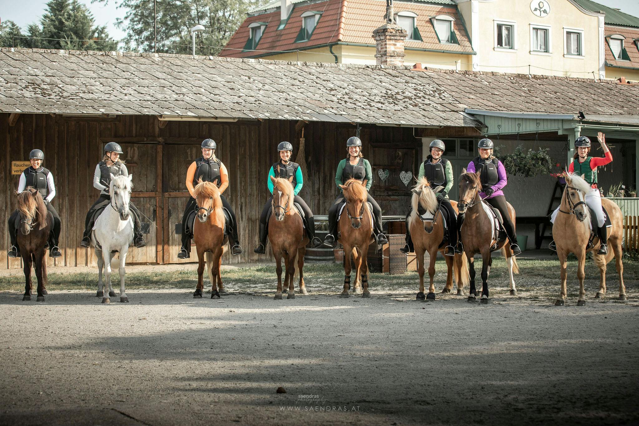 Icelandic horses and their riders, ready to a gallop race in Austria