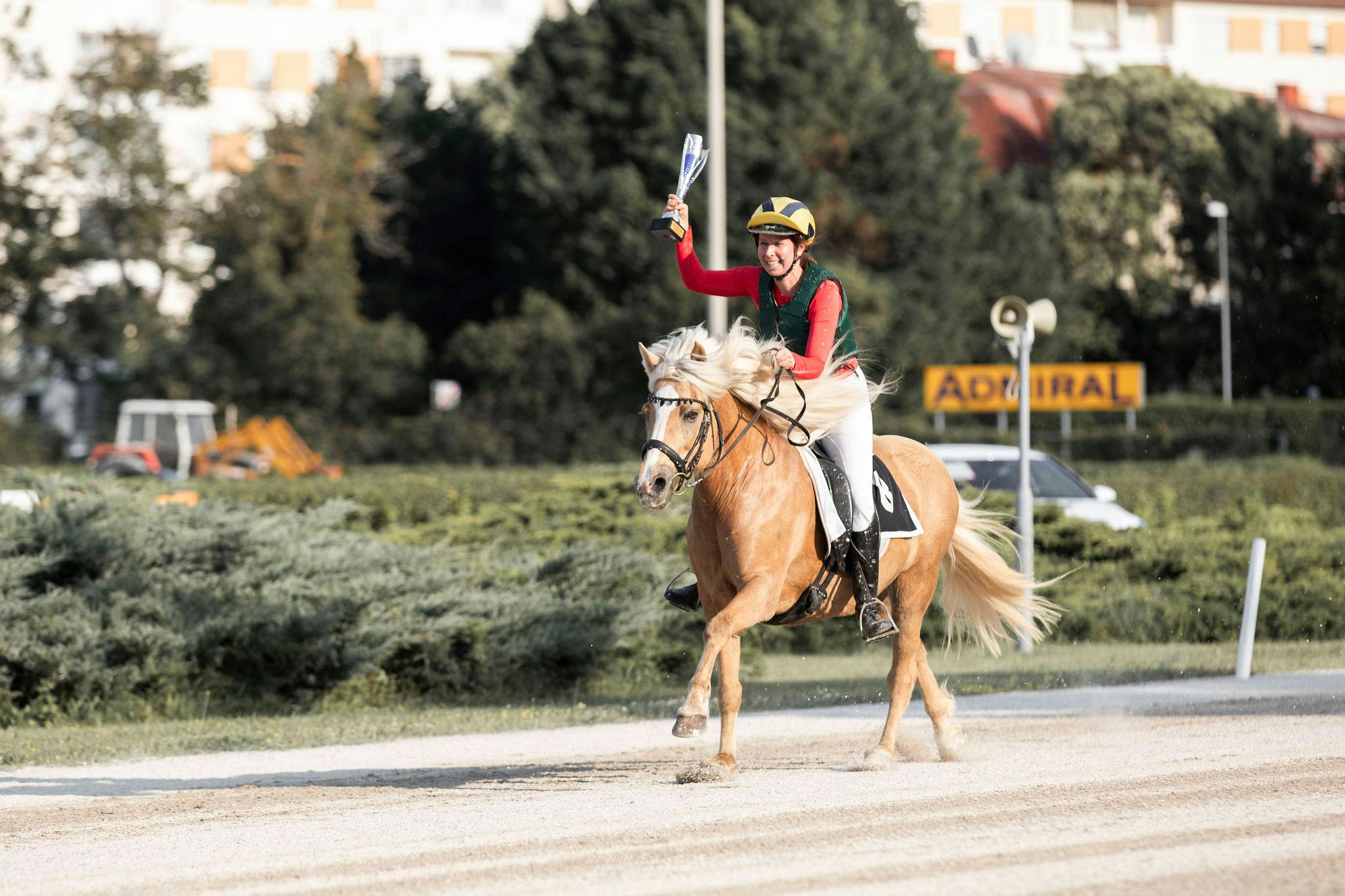 The winning pair of the Icelandic horse gallop race in Baden, in gallop with their trophy