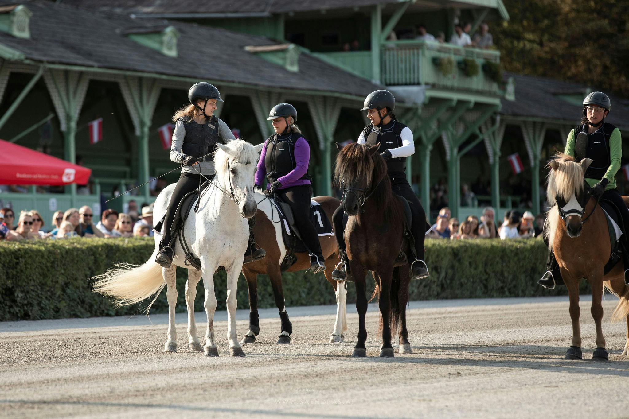 Icelandic horses and their riders, ready for a race in Baden, Austria.