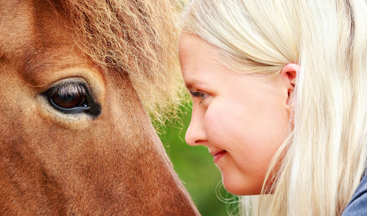 An Icelandic horse and a young woman look each other in the eyes with complicity and tenderness
