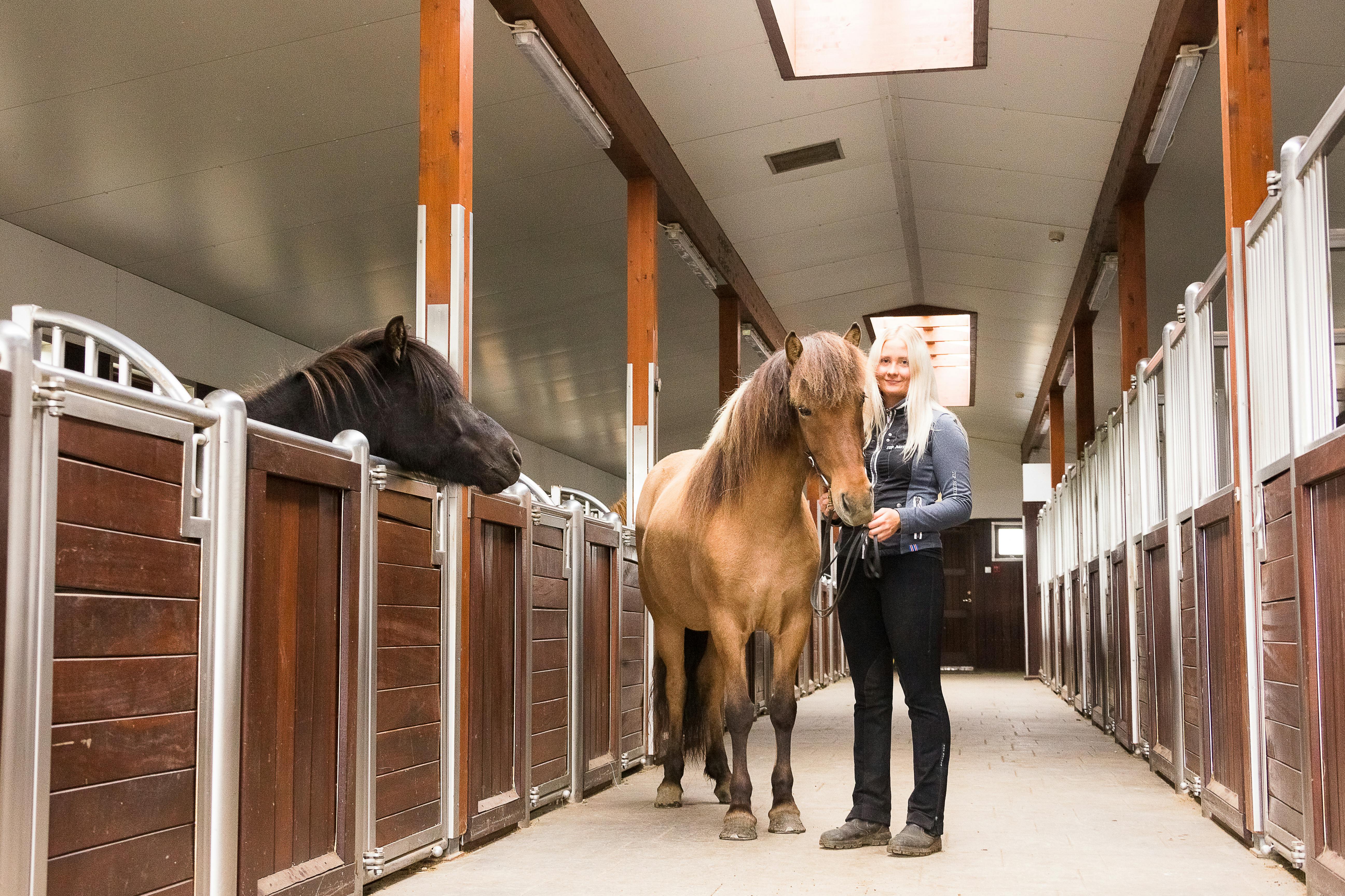 A woman and her horse stand in the hall of a typical Icelandic stable