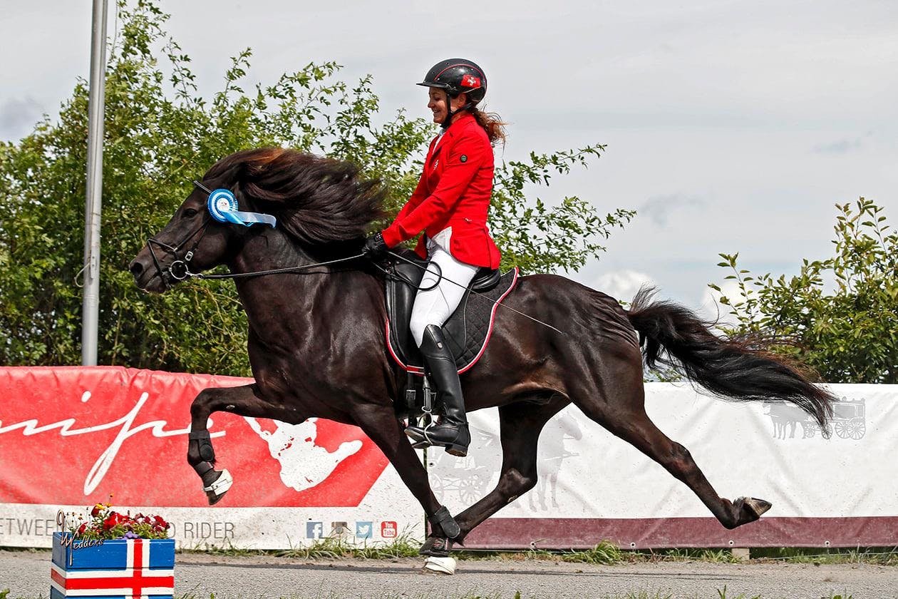 Heljar frá Stóra-Hofi in flying pace with his rider, Silvia Ochsenreiter-Egli