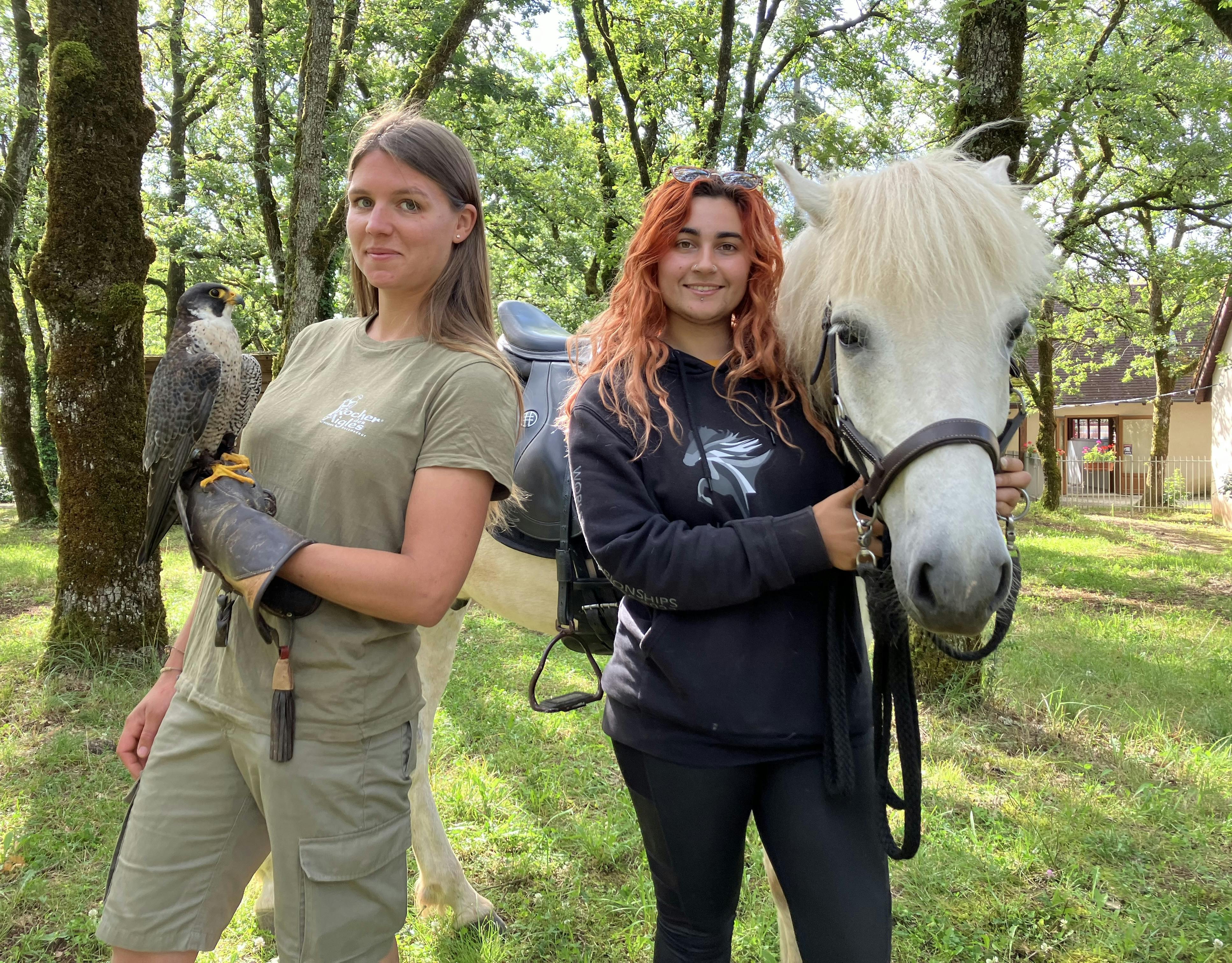 A falconer with a Goshawk and Lucille and Ckjalar the Icelandic horse.