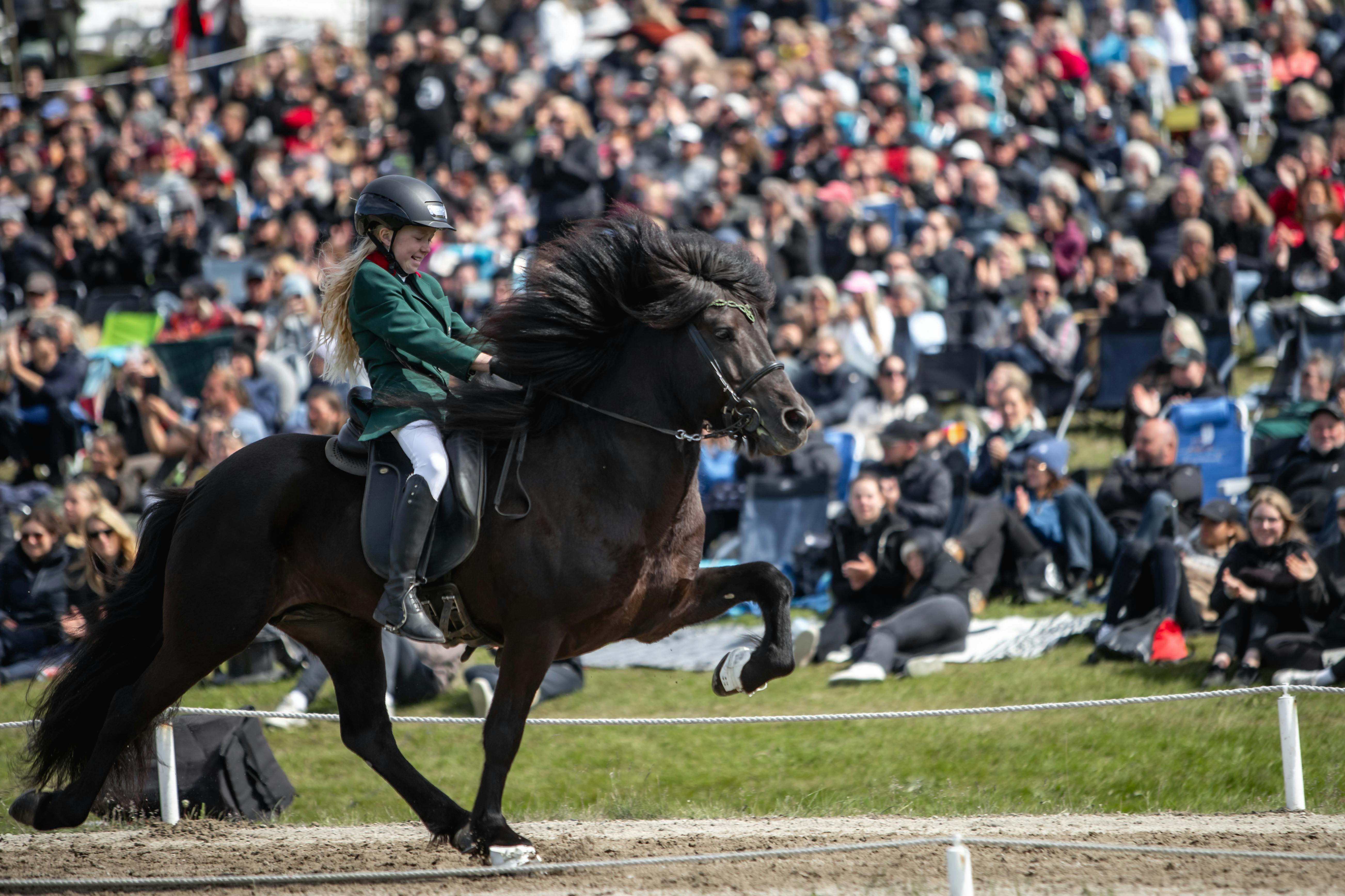 Viktoría Huld Hannesdóttir, 11 years old, riding the stallion Þinur frá Enni in tölt at Landsmót 2024.