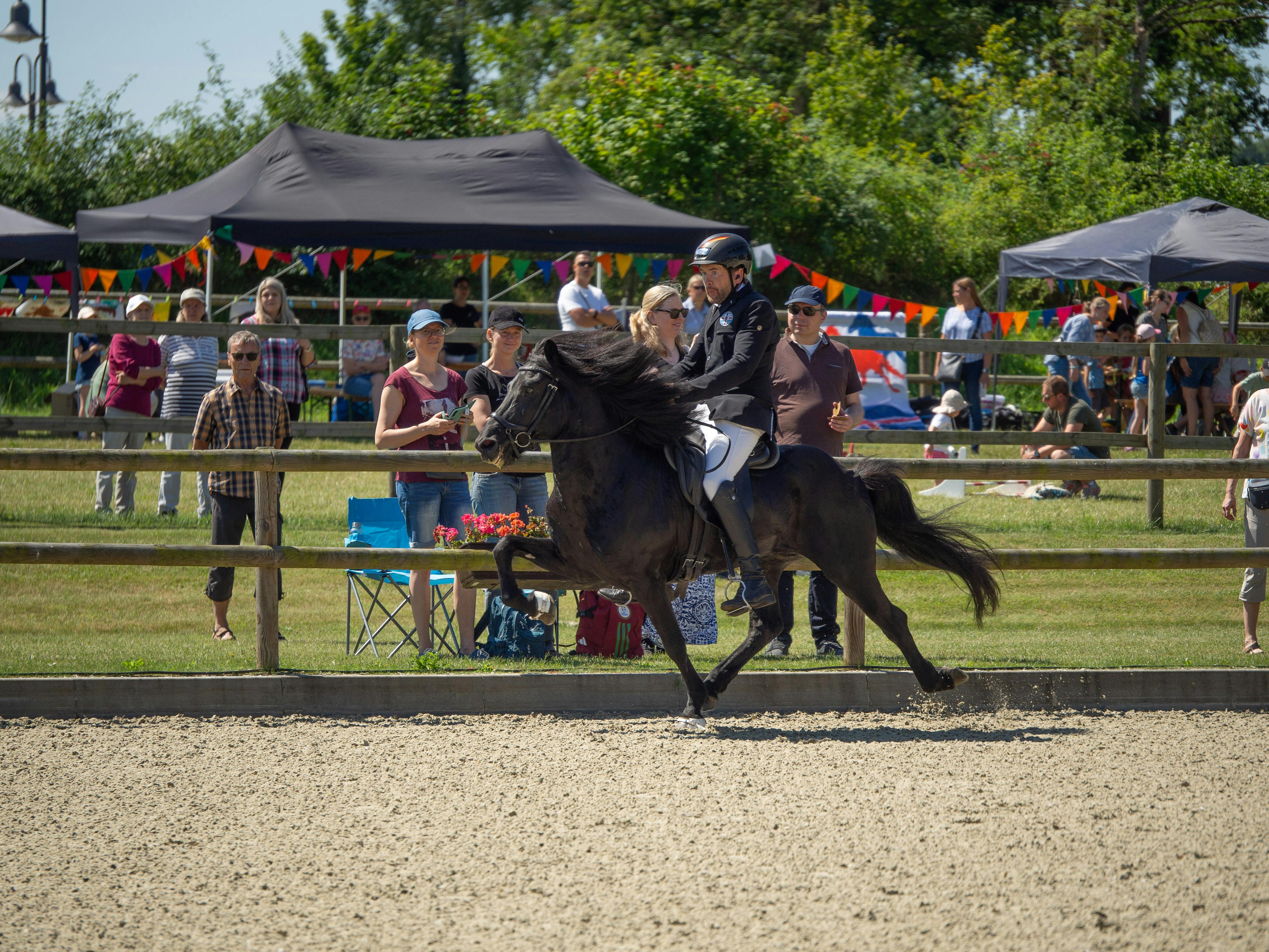 Gerrit Venebrügge rides his black horse, Prins Valíant von Godemoor in powerful tölt on the Immenhof arena.