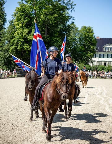 Leisure riders and their horses on the arena after a short hack to Immenhof, holding and waving Icelandic flags.