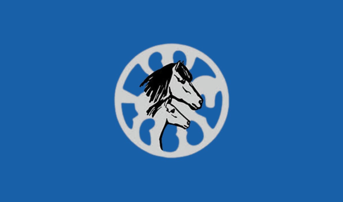WorldFengur logo on a blue background