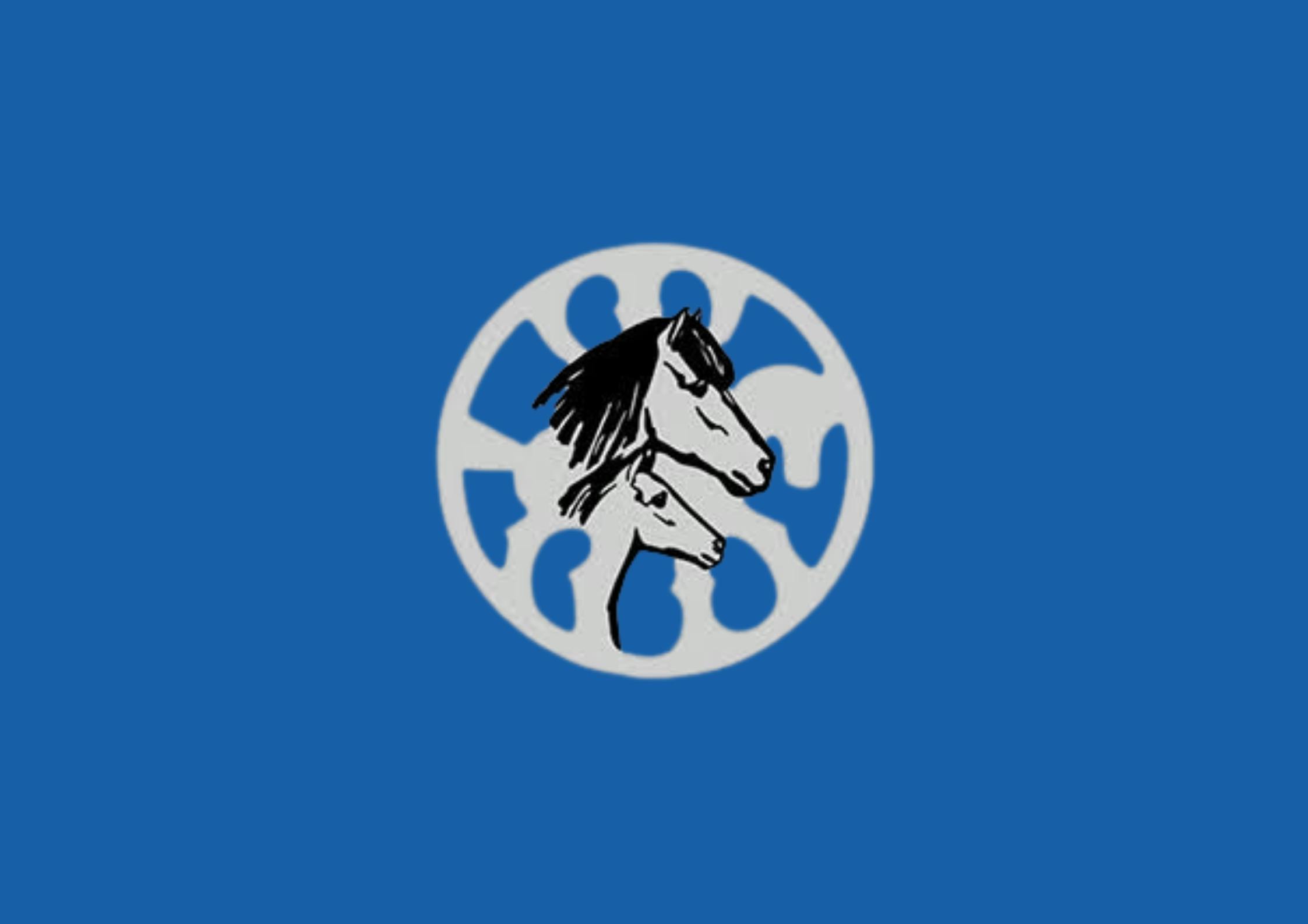 WorldFengur logo on a blue background