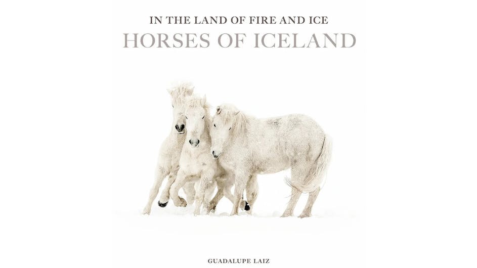 Cover of the book In the land of Fire and Ice by Guadalupe Laiz