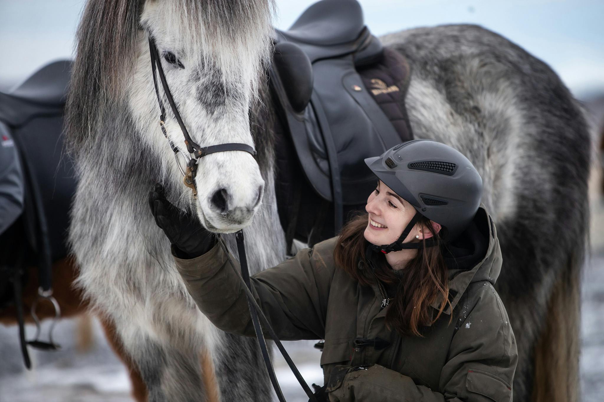 A woman wearing a riding helmet crouching beside a saddled Icelandic horse outdoors.
