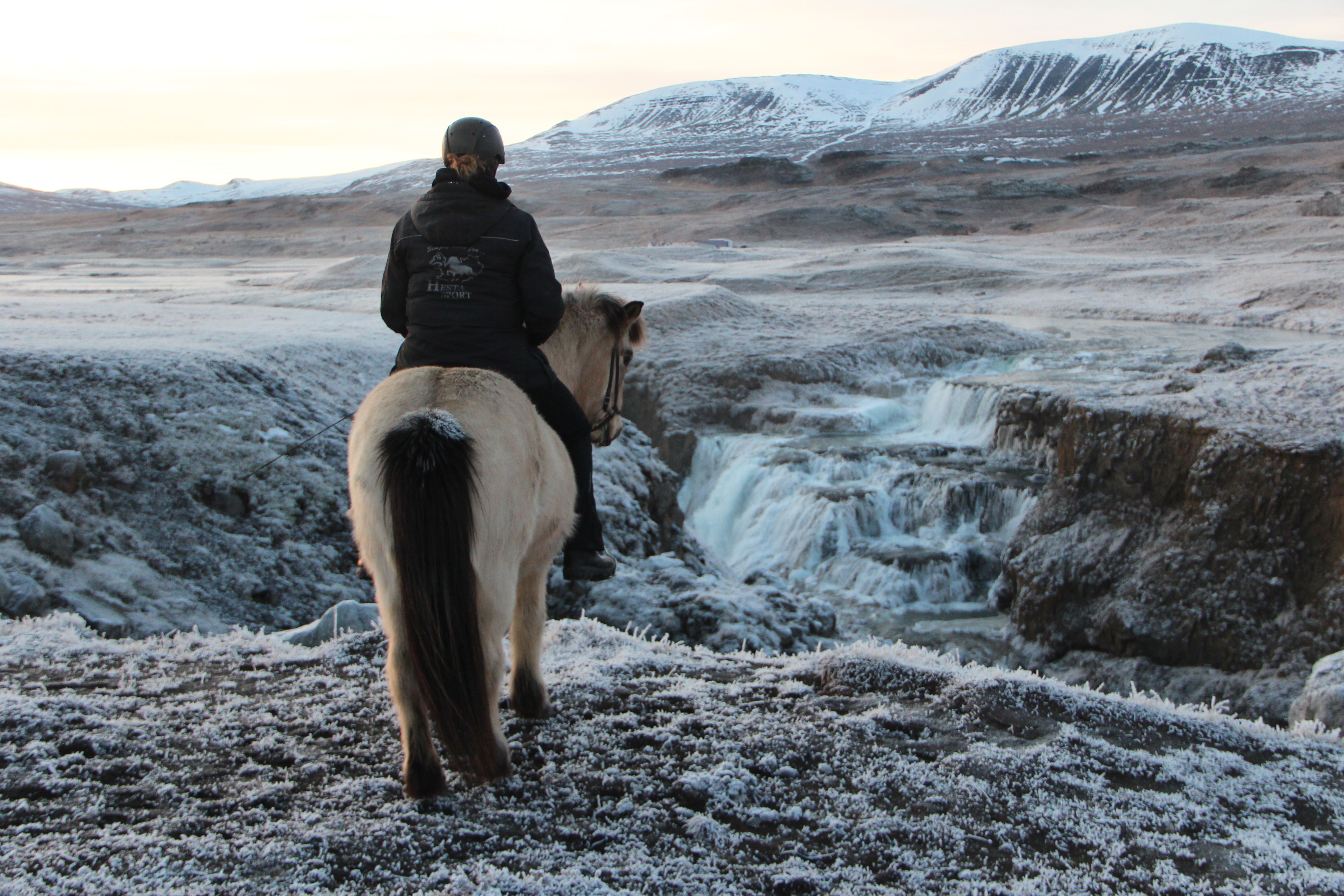 A horse rider from Hestasport looking at Reykjafoss during the Icelandic winter