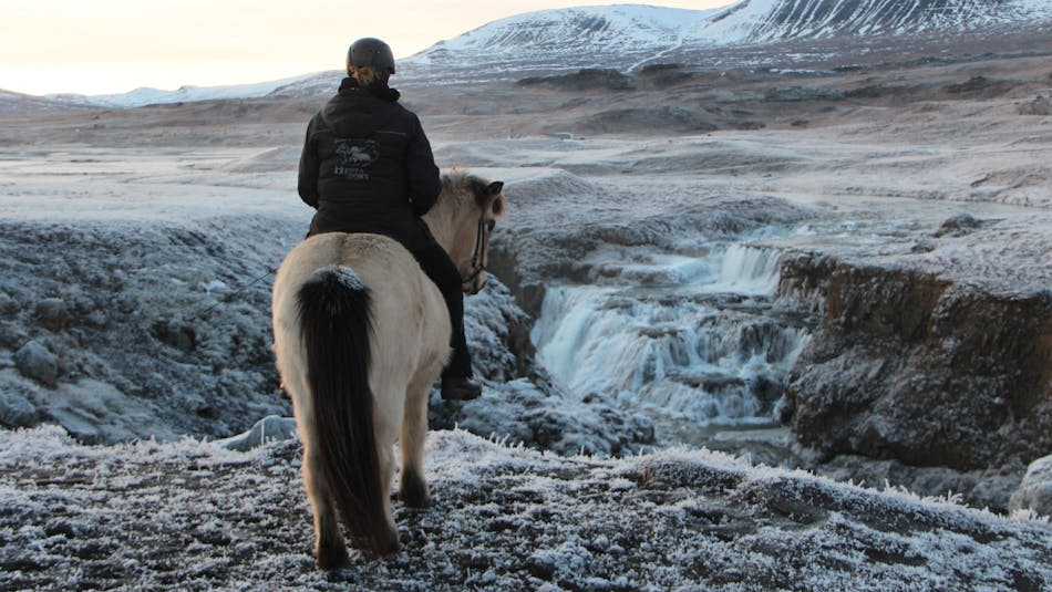 A horse rider from Hestasport looking at Reykjafoss during the Icelandic winter