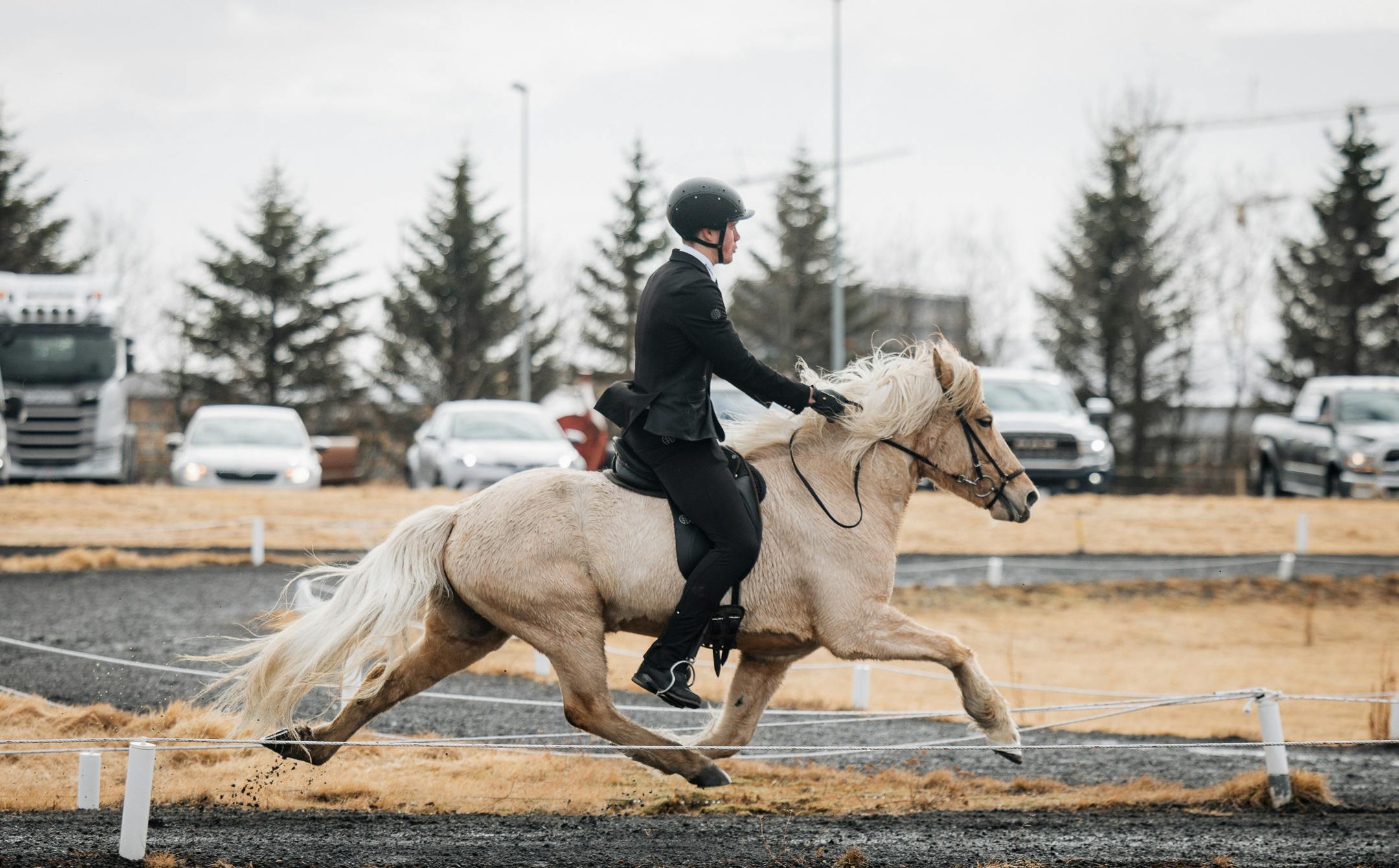 An Icelandic horse in flying pace