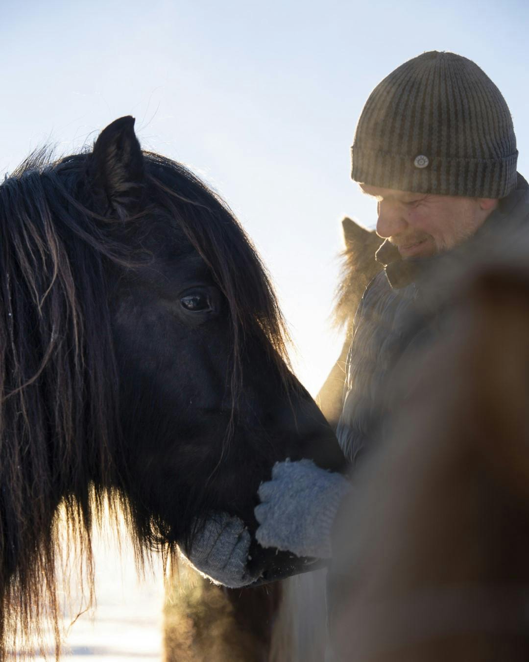 The Icelandic horse is a friend for life