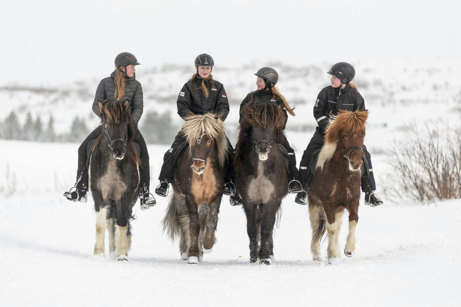 Four teenage girls riding Icelandic horses in the snow