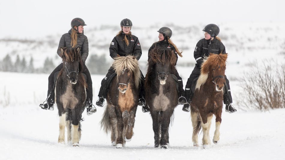 People riding Icelandic horses