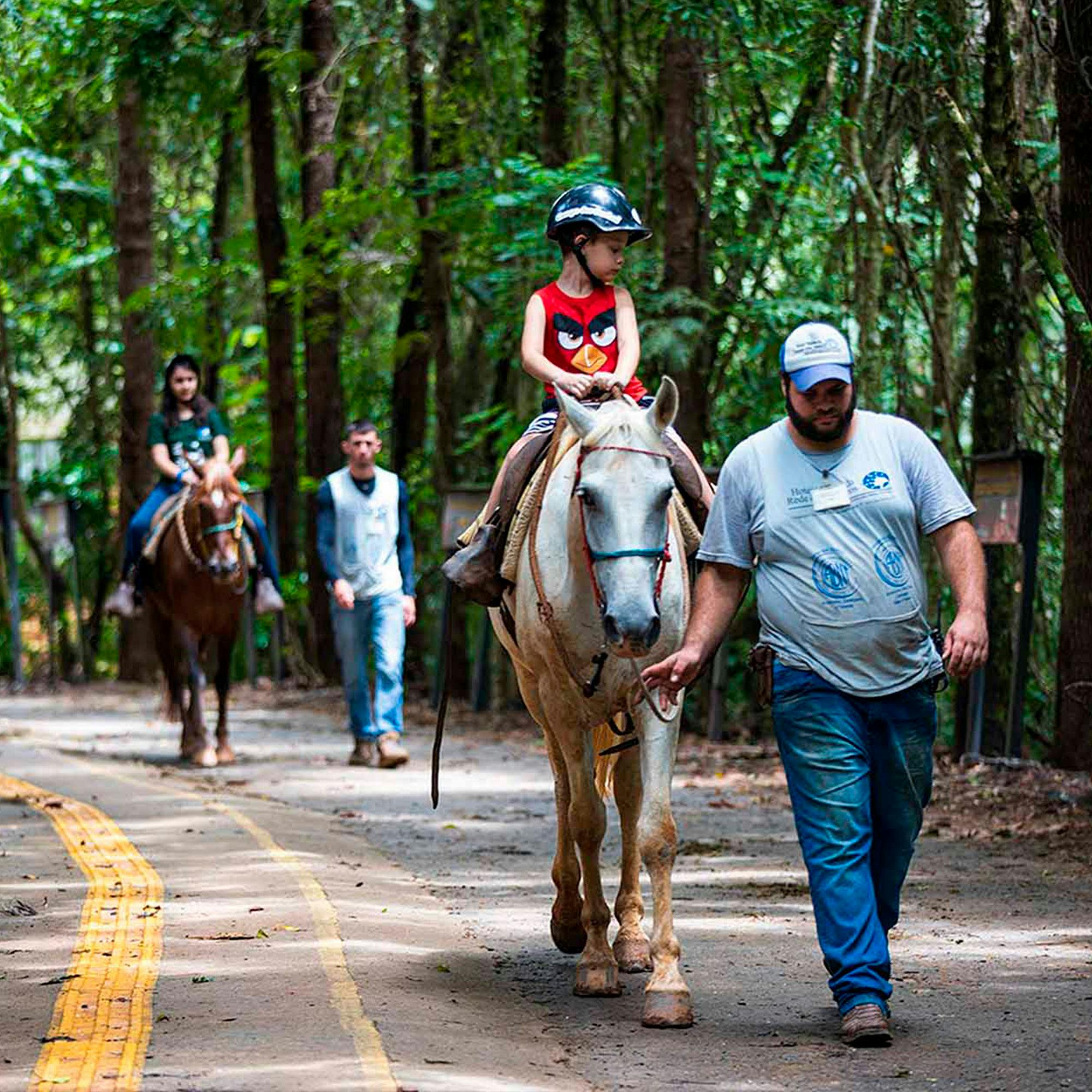 Imagem de passeios a cavalo em Socorro SP