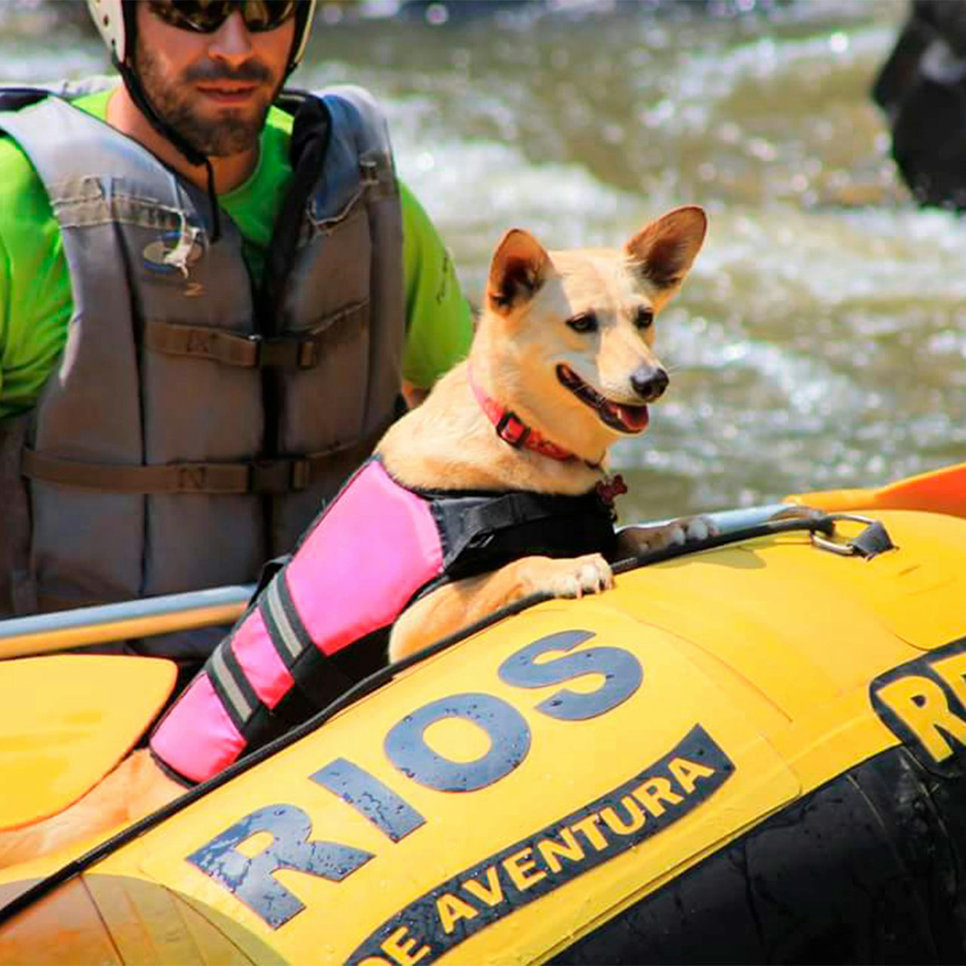 Rafting petfriendly em socorro sp