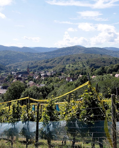 Panorama sur le petit village de Breitenbach, en Alsace