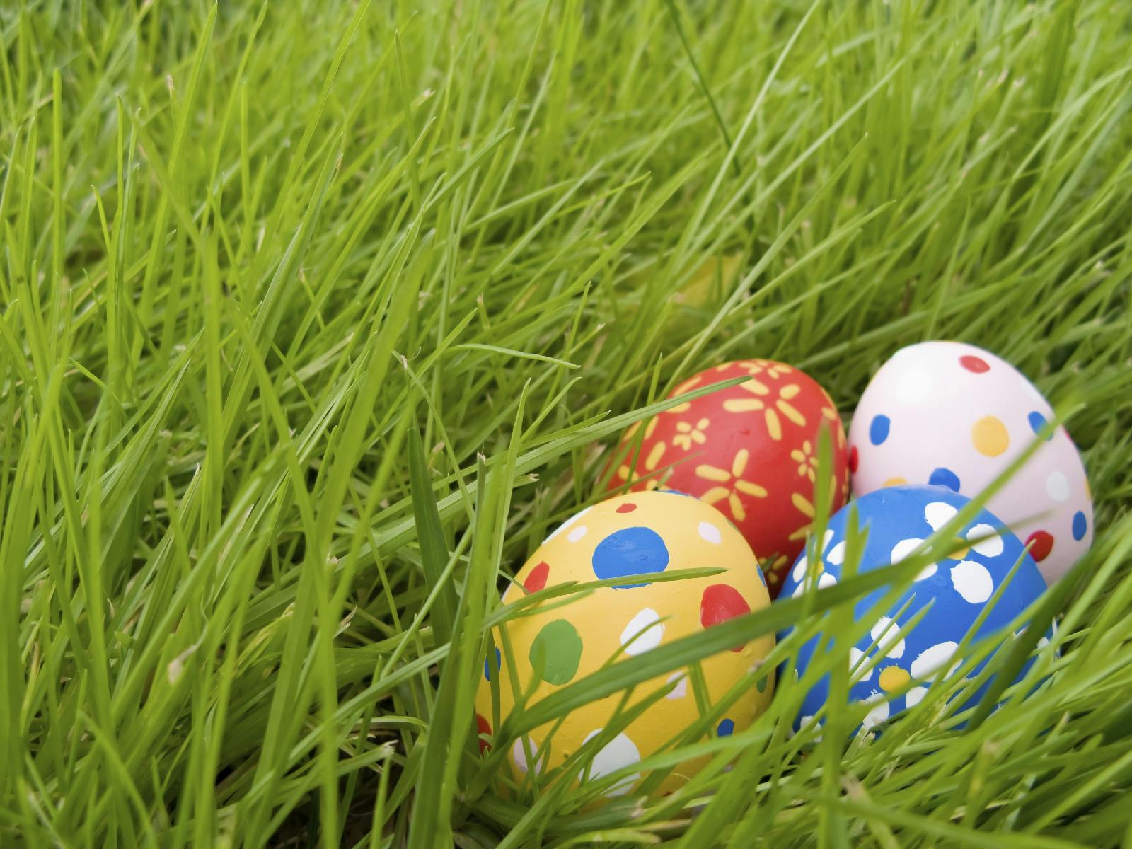 Где найти пасхальные яйца в фк мобайл. Яйцо на траве. Пасхальные яйца на травке. Прятание пасхальных яиц. Прячем яйца на Пасху.