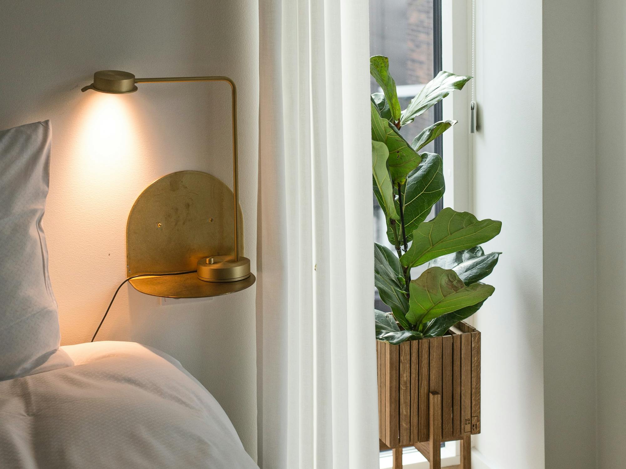 Hotel room with bed and plant